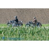Convoy 13-106 Kopie