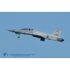 Payerne 150422-001 Kopie 1