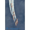 AIR14--000046 Kopie