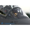 AIR14--002025 Kopie