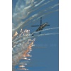 AIR14--002920 Kopie