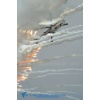 AIR14--003612 Kopie 1