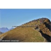 Axalp 2010-001