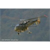 Axalp 2010-017