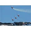 Axalp 2010-356