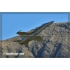 Axalp 2009-123