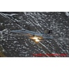 Axalp 2008-051