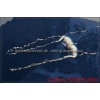 Axalp 2008-113