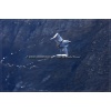 Axalp 2007-016