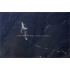 Axalp 2007-028