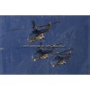 Axalp 2007-244