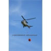 Axalp 2006-014