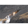 Axalp 2006-033
