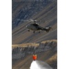 Axalp 2006-047