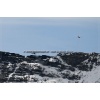 Axalp 2006-056