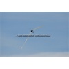Axalp 2006-060
