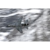 Axalp 2006-067