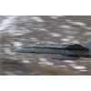 Axalp 2006-075