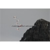 Axalp 2006-103