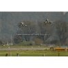 Axalp 2006-137