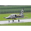 Emmen 2010-085