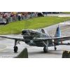 Emmen 2010-150