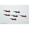 Emmen 2010-181