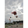 Emmen 2010-503
