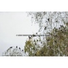 Payerne 100925-004