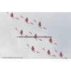 Payerne 100925-051