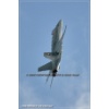 Payerne 100925-106