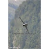 Mollis 2010-034