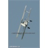 Mollis 2010-037
