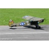 Mollis 2010-038