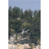 Mollis 2010-043