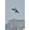 Mollis 2010-045