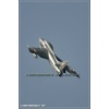 Mollis 2010-054