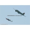 Mollis 2010-070