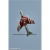 Mollis 2010-089