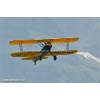 Mollis 2010-094