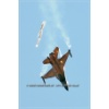 Airpower 11-150