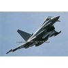 Sion 2011-003