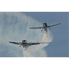 Sion 2011-029