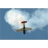 Sion 2011-048