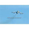 Sion 2011-065