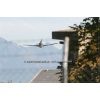 Sion 2011-078