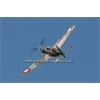 Sion 2011-079