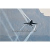 Sion 2011-229