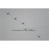 Sion 2011-266