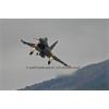 Sion 2011-295